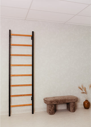 Drabinka gimnastyczna BenchK QCZAJ